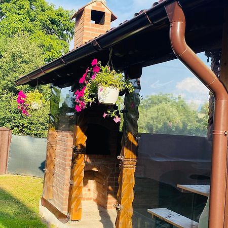 Casa Victoria Hotel Cîrţişoara Buitenkant foto