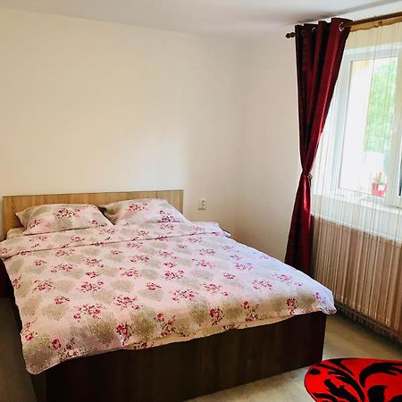 Casa Victoria Hotel Cîrţişoara Buitenkant foto
