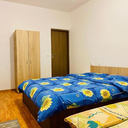 Casa Victoria Hotel Cîrţişoara Buitenkant foto