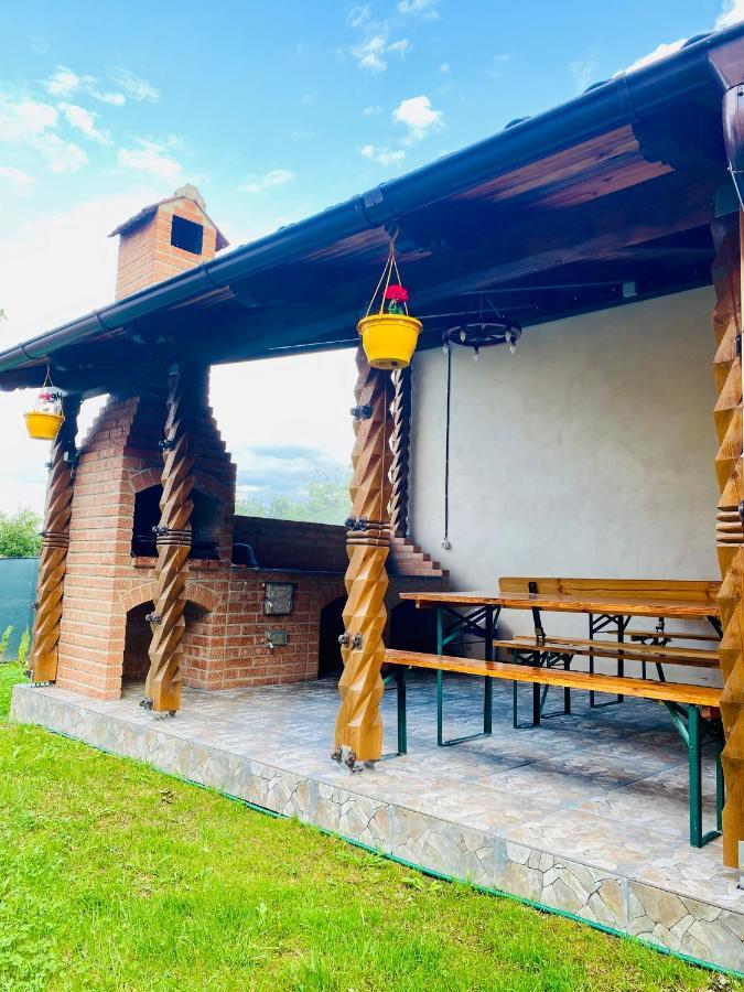 Casa Victoria Hotel Cîrţişoara Buitenkant foto