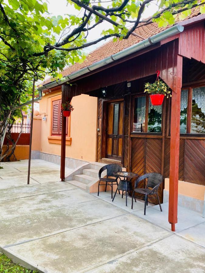 Casa Victoria Hotel Cîrţişoara Buitenkant foto