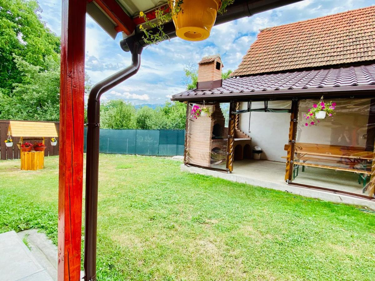 Casa Victoria Hotel Cîrţişoara Buitenkant foto