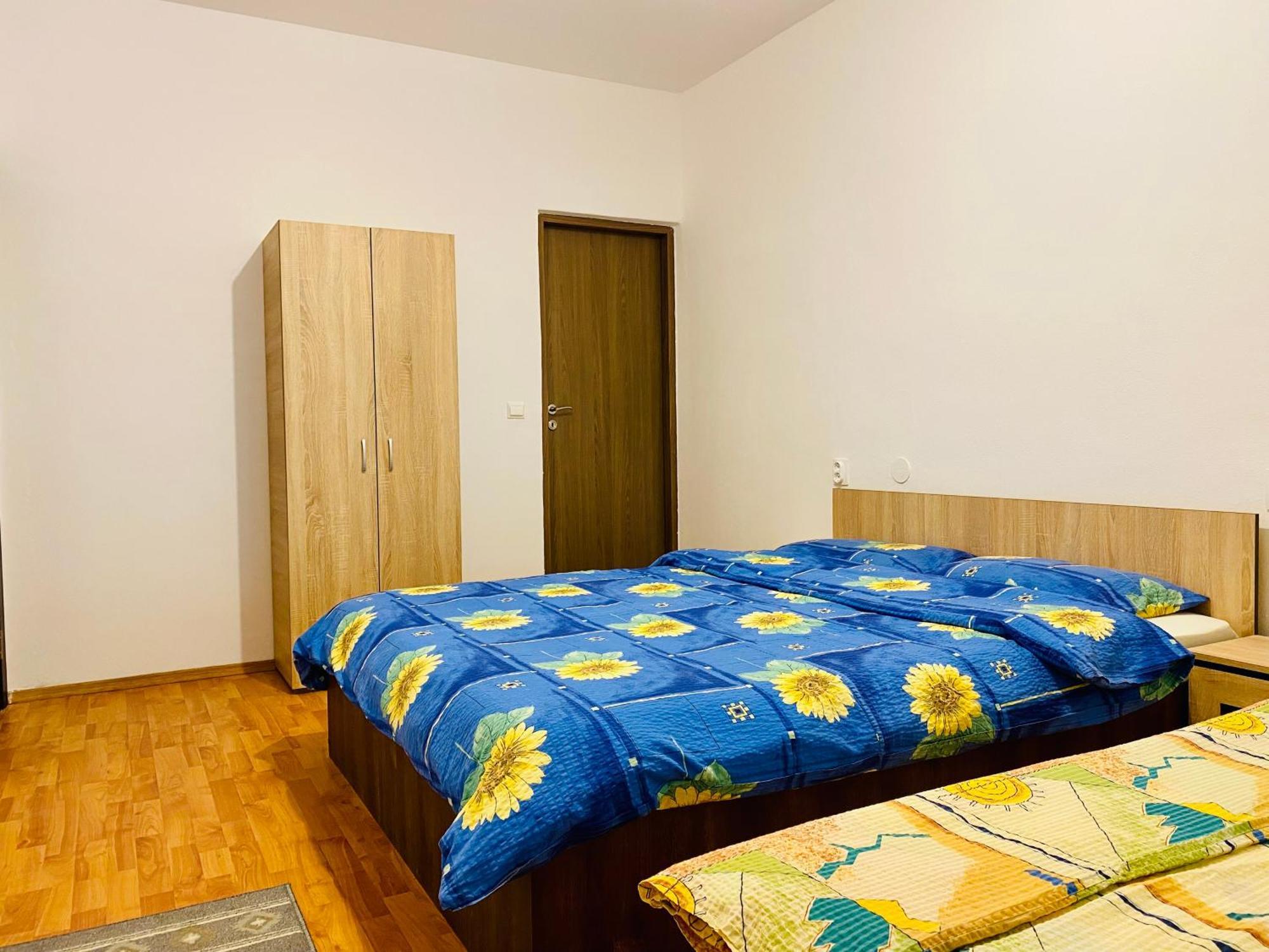 Casa Victoria Hotel Cîrţişoara Buitenkant foto