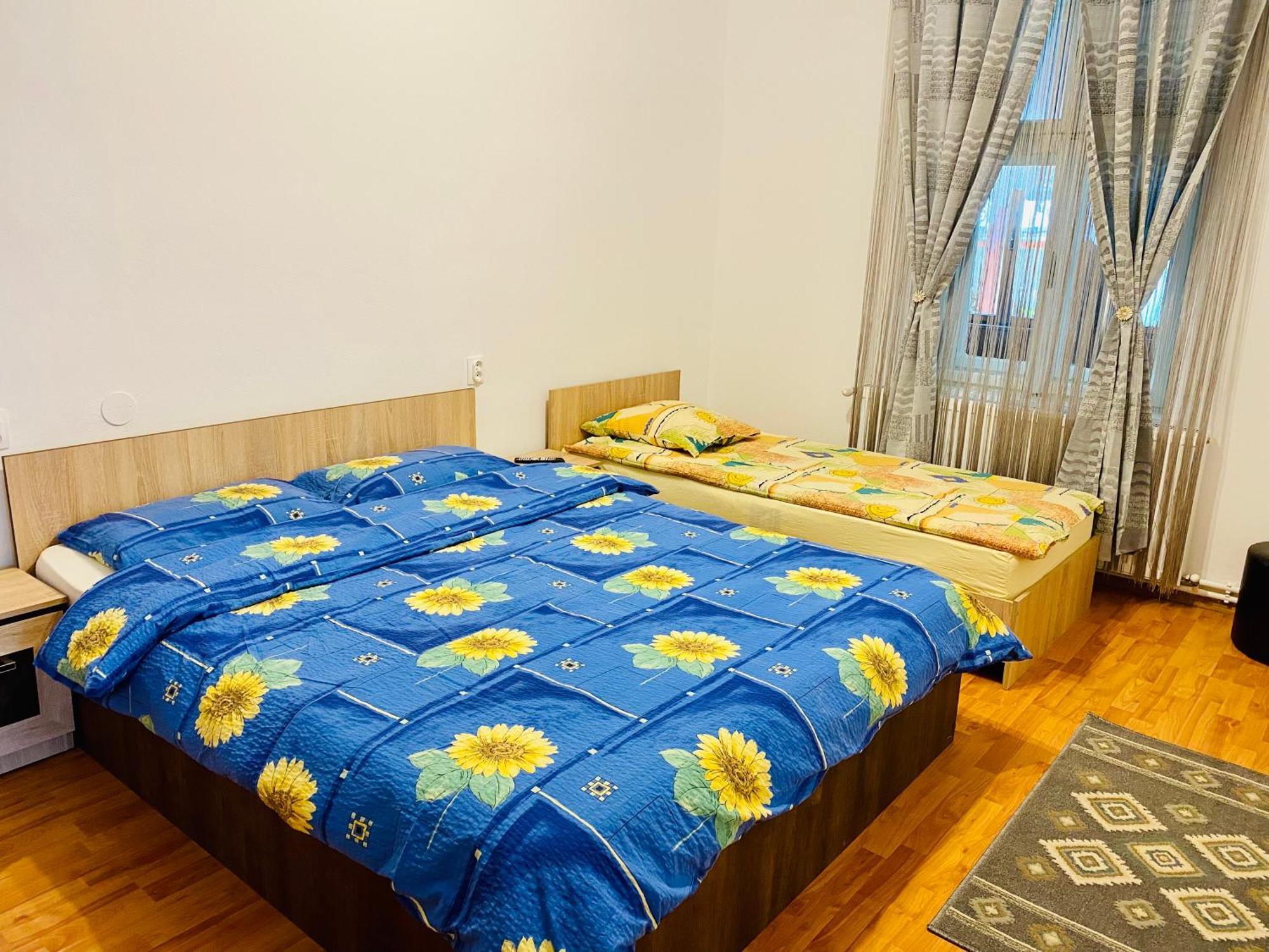 Casa Victoria Hotel Cîrţişoara Buitenkant foto
