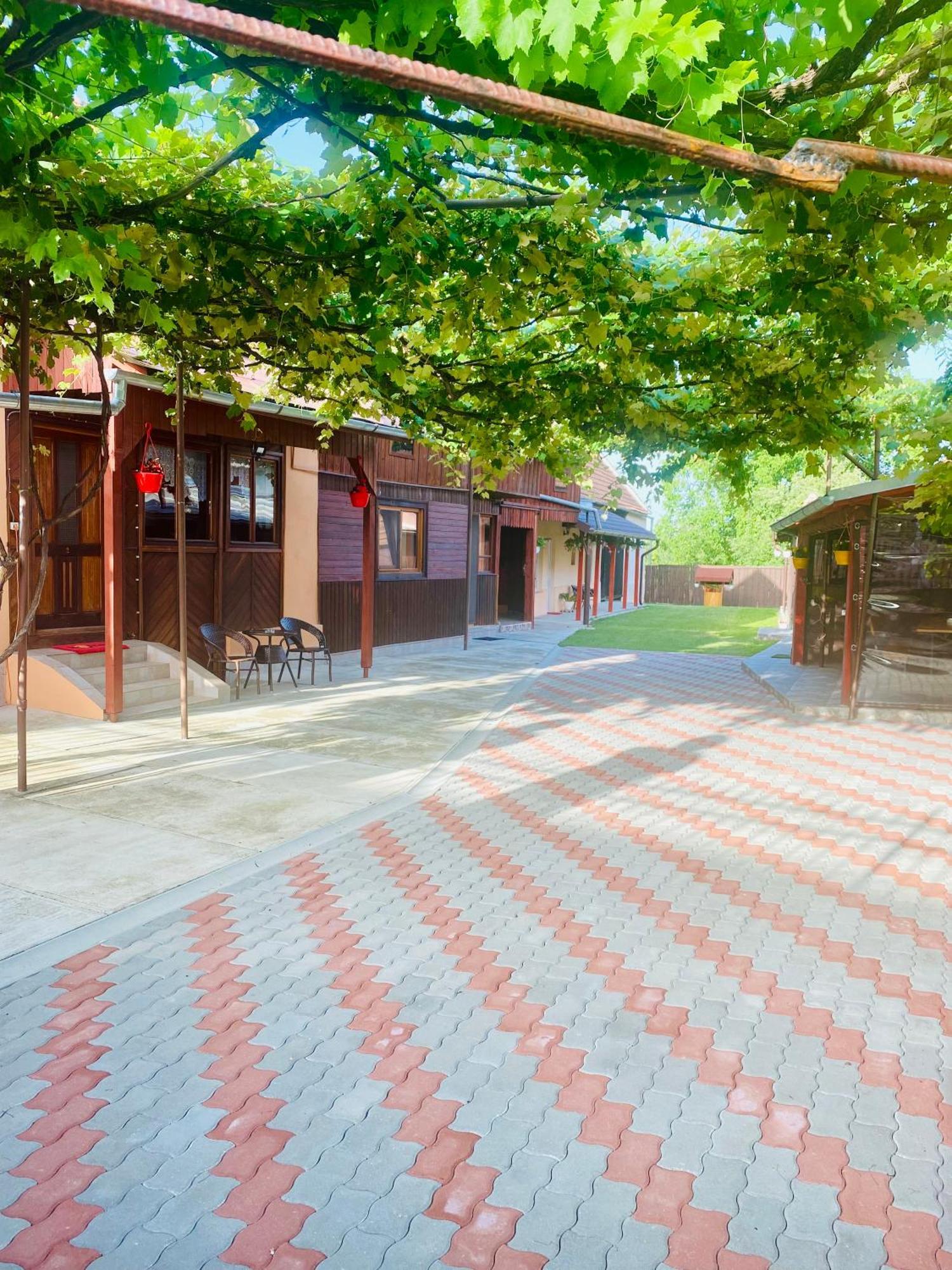 Casa Victoria Hotel Cîrţişoara Buitenkant foto