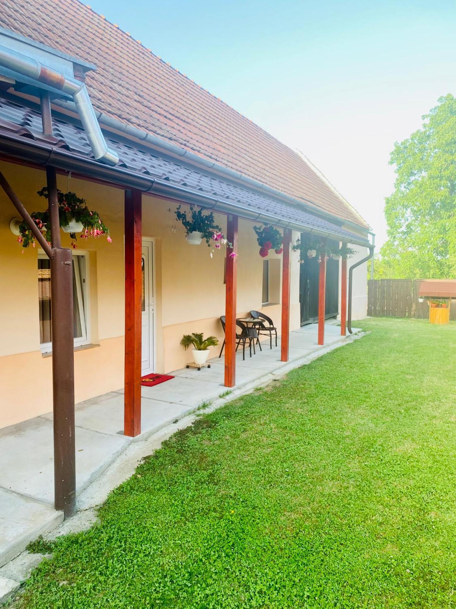 Casa Victoria Hotel Cîrţişoara Buitenkant foto